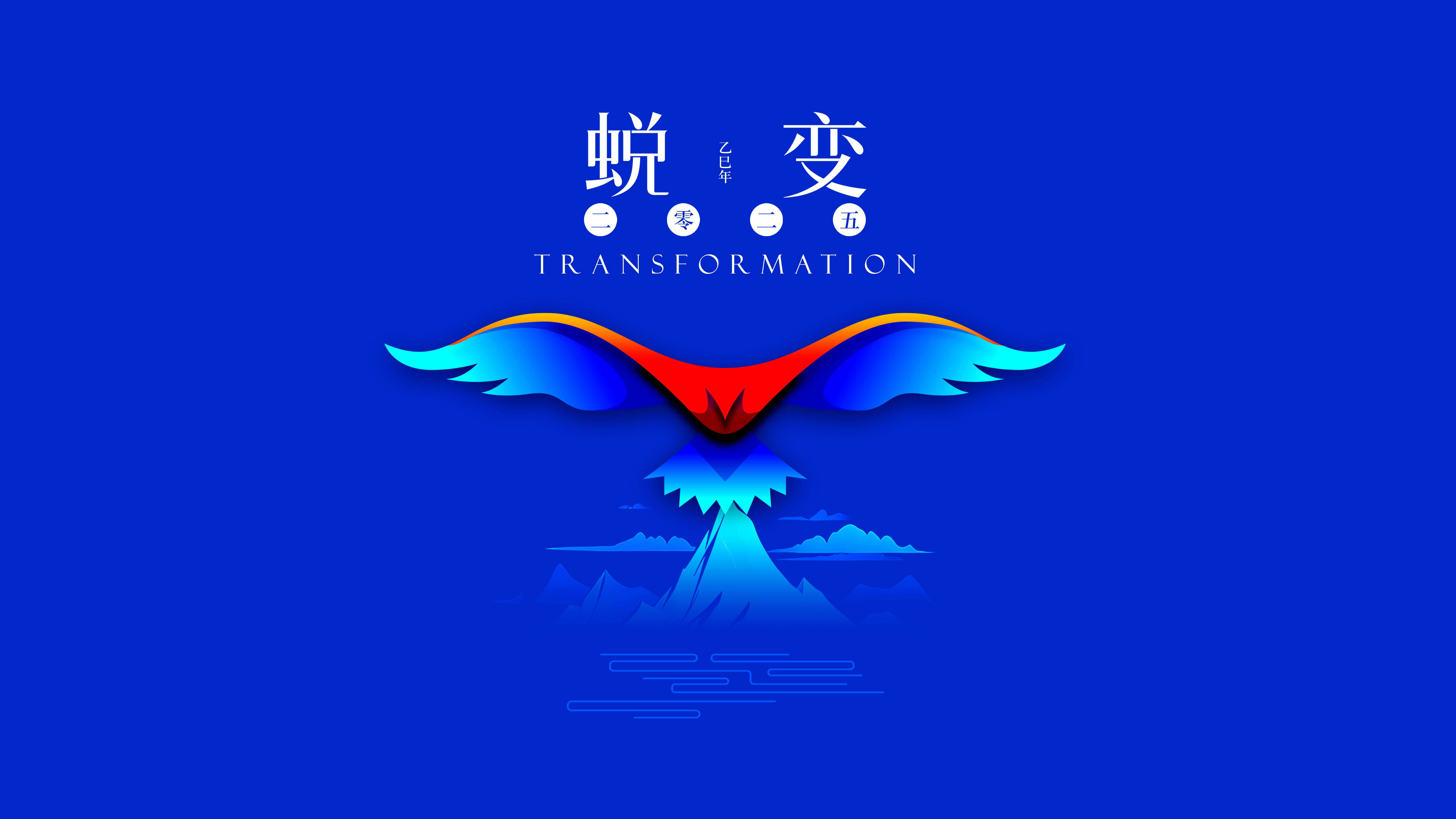 我與海星的2024，期待2025年與您一起續(xù)寫(xiě)美好篇章